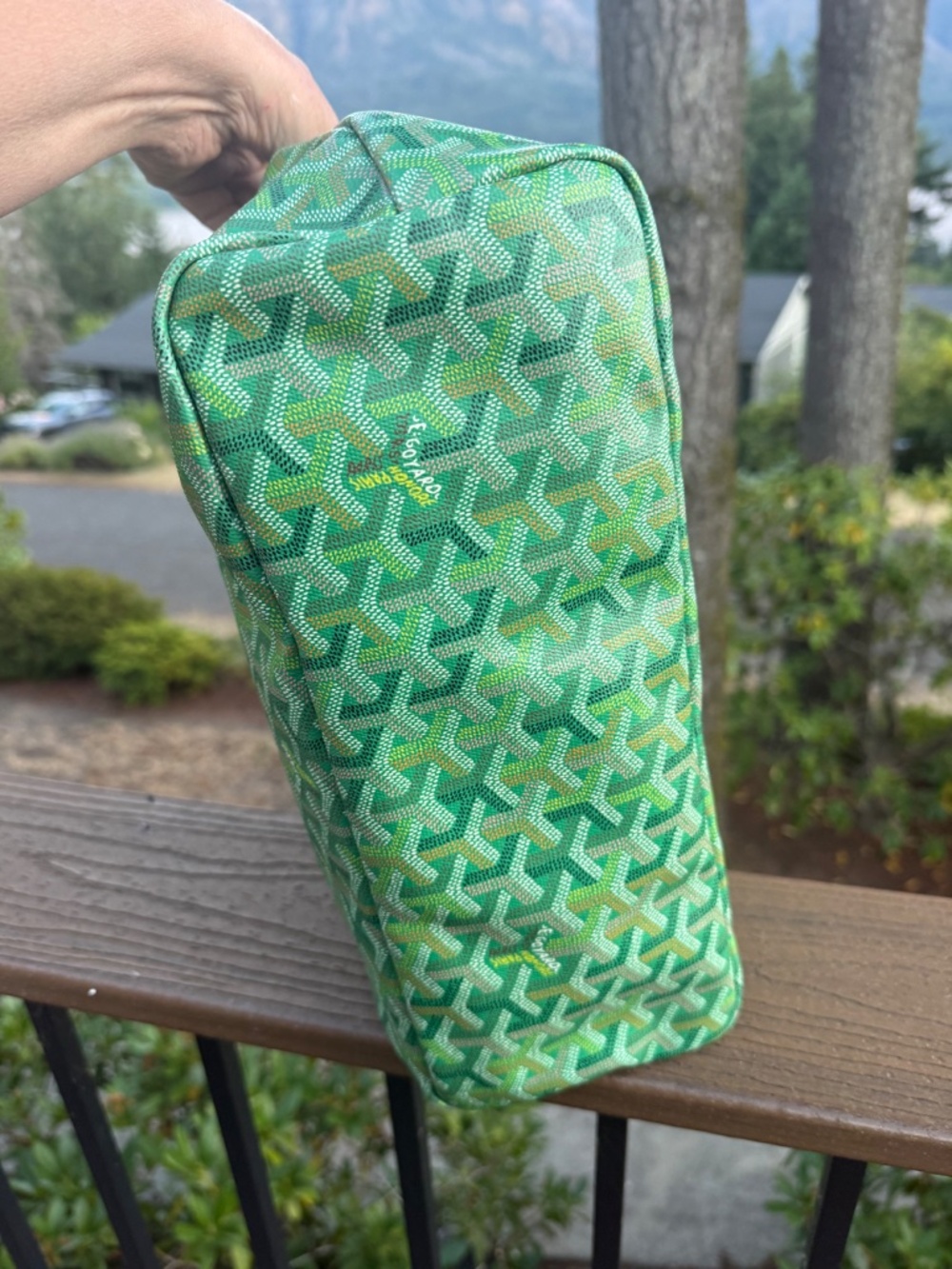 Goyard Meadow Green Boheme PM Hobo Bag - Read Description - Picture 5 of 13